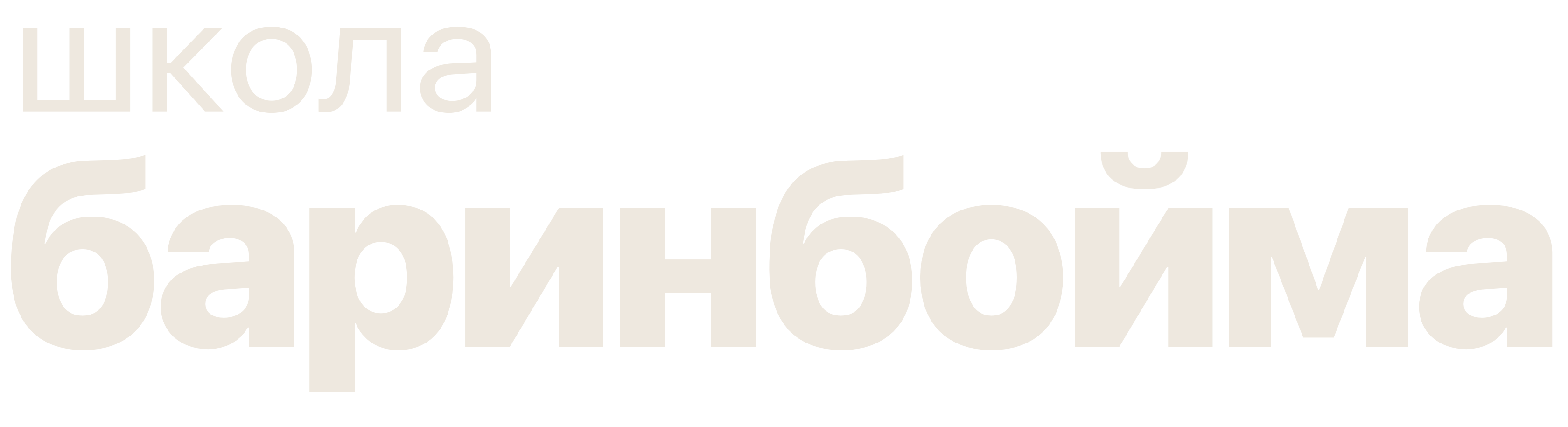 Школа Баринбойма
